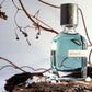 Unisex Oriental Woody Perfume 50Ml Long Lasting Eau De Parfum Warm