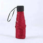 Small Folding Umbrella Rain Women Gift Men