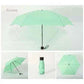 Small Folding Umbrella Rain Women Gift Men