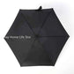Small Folding Umbrella Rain Women Gift Men